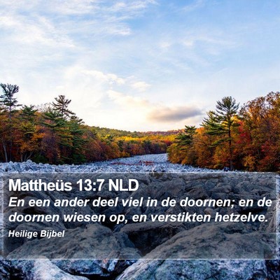 Mattheüs 13:7 NLD Bible Verse Image