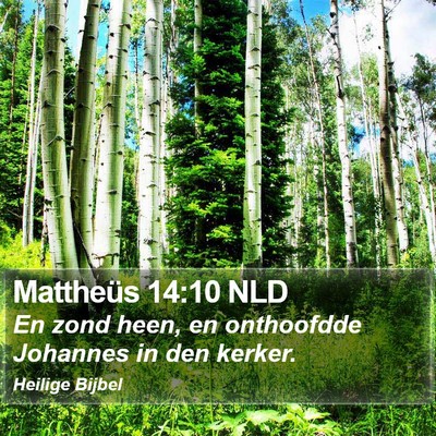 Mattheüs 14:10 NLD Bible Verse Image