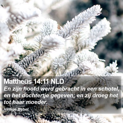Mattheüs 14:11 NLD Bible Verse Image