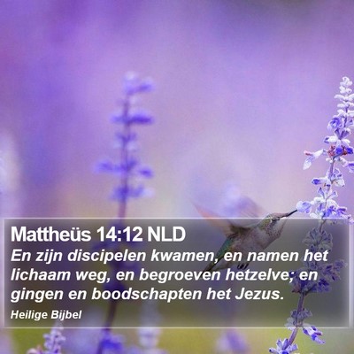 Mattheüs 14:12 NLD Bible Verse Image