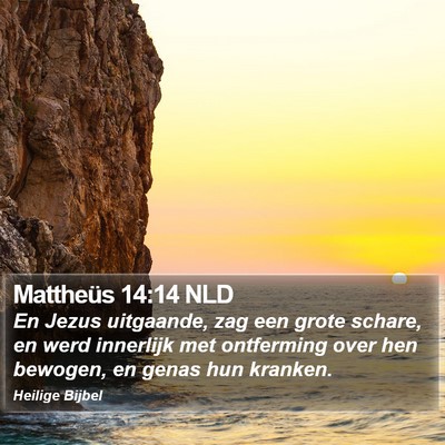 Mattheüs 14:14 NLD Bible Verse Image