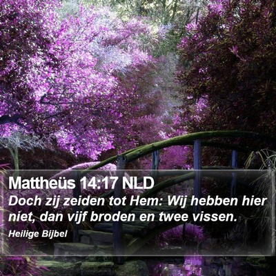 Mattheüs 14:17 NLD Bible Verse Image