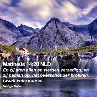 Mattheüs 14:20 NLD Bible Verse Image