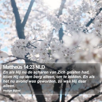Mattheüs 14:23 NLD Bible Verse Image
