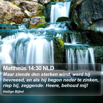 Mattheüs 14:30 NLD Bible Verse Image