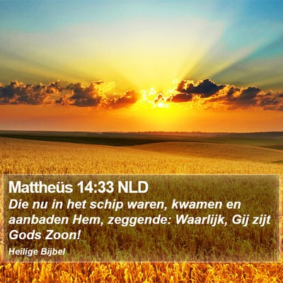 Mattheüs 14:33 NLD Bible Verse Image
