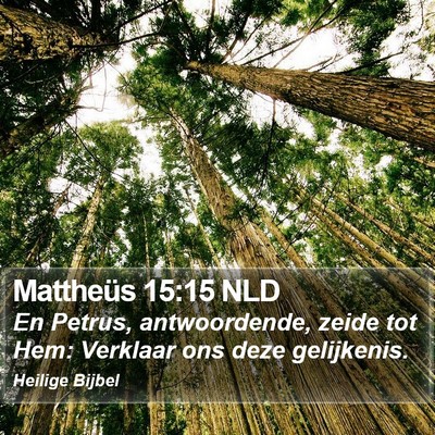 Mattheüs 15:15 NLD Bible Verse Image