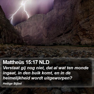 Mattheüs 15:17 NLD Bible Verse Image