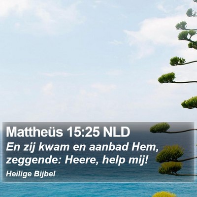 Mattheüs 15:25 NLD Bible Verse Image