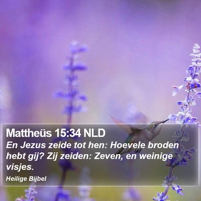 Mattheüs 15:34 NLD Bible Verse Image