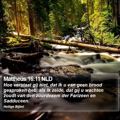 Mattheüs 16:11 NLD Bible Verse Image