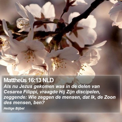 Mattheüs 16:13 NLD Bible Verse Image