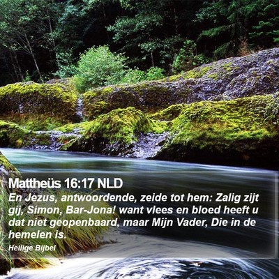 Mattheüs 16:17 NLD Bible Verse Image