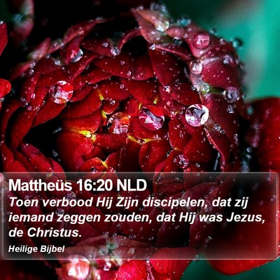 Mattheüs 16:20 NLD Bible Verse Image