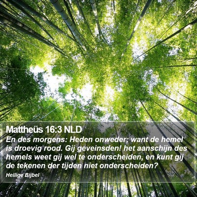 Mattheüs 16:3 NLD Bible Verse Image