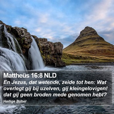 Mattheüs 16:8 NLD Bible Verse Image