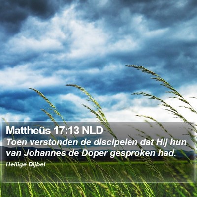 Mattheüs 17:13 NLD Bible Verse Image