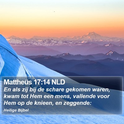 Mattheüs 17:14 NLD Bible Verse Image