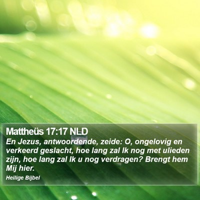 Mattheüs 17:17 NLD Bible Verse Image