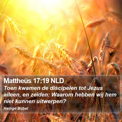 Mattheüs 17:19 NLD Bible Verse Image