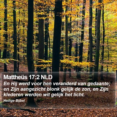 Mattheüs 17:2 NLD Bible Verse Image