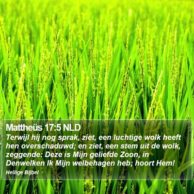 Mattheüs 17:5 NLD Bible Verse Image