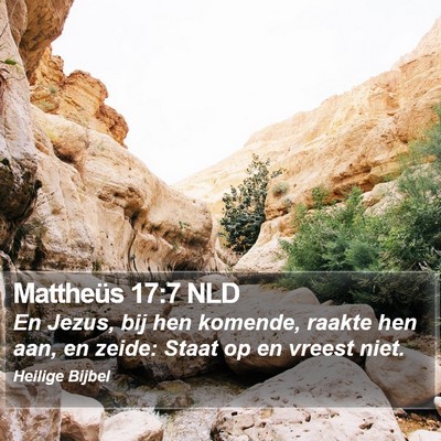 Mattheüs 17:7 NLD Bible Verse Image