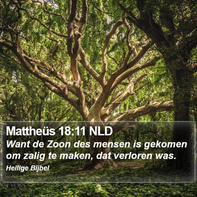 Mattheüs 18:11 NLD Bible Verse Image