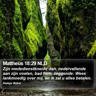 Mattheüs 18:29 NLD Bible Verse Image