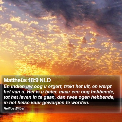 Mattheüs 18:9 NLD Bible Verse Image