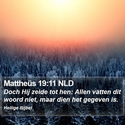 Mattheüs 19:11 NLD Bible Verse Image