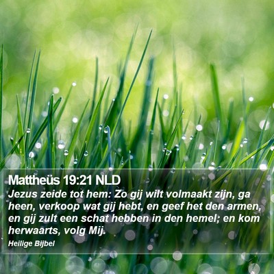 Mattheüs 19:21 NLD Bible Verse Image