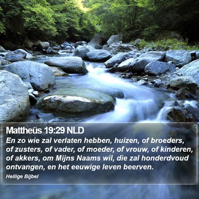 Mattheüs 19:29 NLD Bible Verse Image