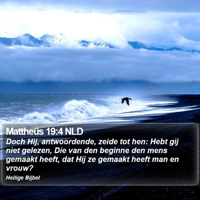 Mattheüs 19:4 NLD Bible Verse Image