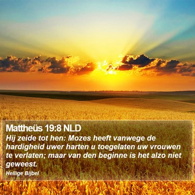 Mattheüs 19:8 NLD Bible Verse Image