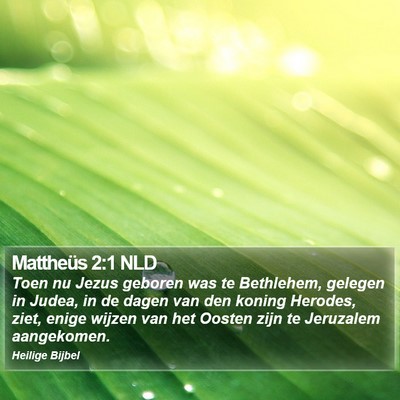 Mattheüs 2:1 NLD Bible Verse Image