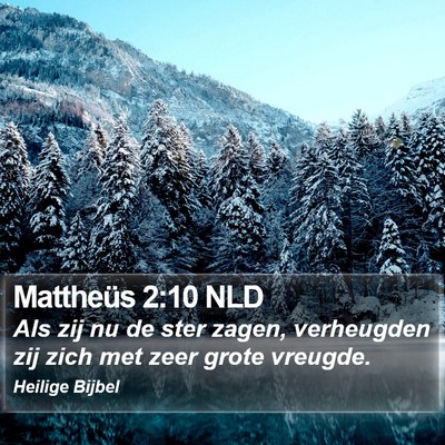 Mattheüs 2:10 NLD Bible Verse Image