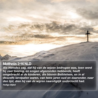 Mattheüs 2:16 NLD Bible Verse Image