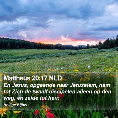 Mattheüs 20:17 NLD Bible Verse Image
