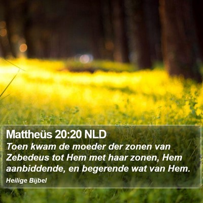 Mattheüs 20:20 NLD Bible Verse Image