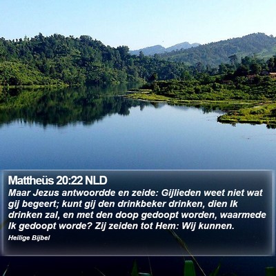 Mattheüs 20:22 NLD Bible Verse Image