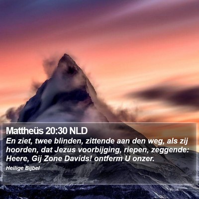 Mattheüs 20:30 NLD Bible Verse Image