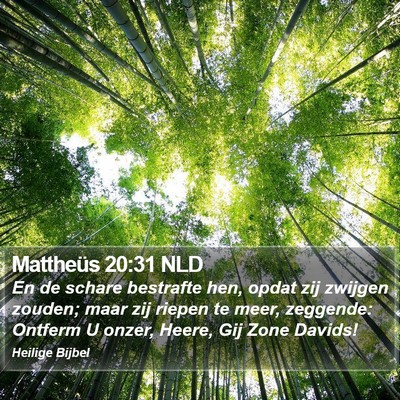 Mattheüs 20:31 NLD Bible Verse Image
