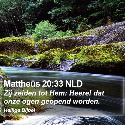 Mattheüs 20:33 NLD Bible Verse Image