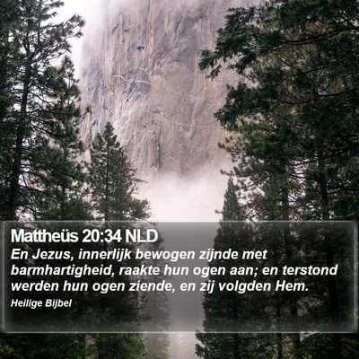Mattheüs 20:34 NLD Bible Verse Image