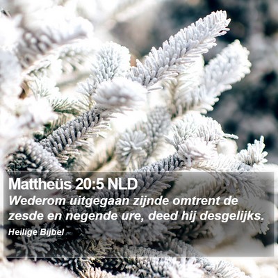 Mattheüs 20:5 NLD Bible Verse Image