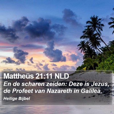 Mattheüs 21:11 NLD Bible Verse Image