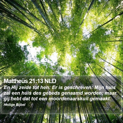 Mattheüs 21:13 NLD Bible Verse Image
