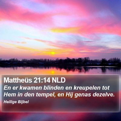Mattheüs 21:14 NLD Bible Verse Image