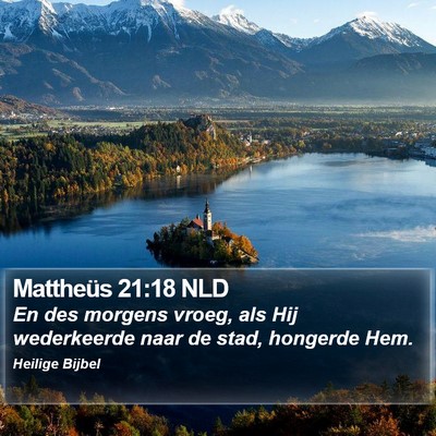 Mattheüs 21:18 NLD Bible Verse Image